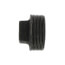 2" Black Solid Plug