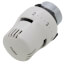 Thermostatic Control Head with Built-in Sensor, 45-82 F