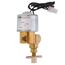 Model 2006 Drain Valve, 094021A0208