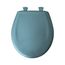 Round Plastic Toilet Seat, STA-TITE, Easy-Clean, Whisper-Close (Regency Blue)