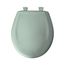 Round Plastic Toilet Seat, STA-TITE, Easy-Clean, Whisper-Close (Seafoam)