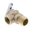 3/4" F30 Pressure Only Safety Relief Valve (30 PSI)
