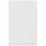 1-Gang Blank Box Mount Wall Plate, Mid-Size, Thermoset - White