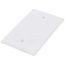 1-Gang Blank Box Mount Wall Plate, Mid-Size, Thermoset - White