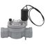 1" FNPT PVC Globe Valve