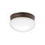 Ceiling Space 9" 2 Light Flush Mount w/ White Globe (Olde Bronze)