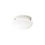 Ceiling Space 9" 2 Light Flush Mount w/ White Globe (White)