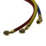 PLUS II 3-Pack Charging Hoses w/ 1/4" HAV Standard Fitting (36" Length)