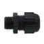 Cable Gland