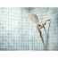 Verso Combination Shower With Infiniti Dial (Brushed Nickel), 220C5BN