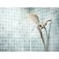 Verso Combination Shower With Infiniti Dial (Brushed Nickel), 220C5BN