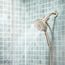 Verso 8-Function 5" Diameter Spray Head Handshower, 220H5BN (Brushed Nickel)