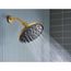 Verso Adjustable 9" Diameter Spray Head Rainshower, 2.5 GPM, 220R3BG (Brushed Gold)