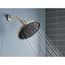 Verso Adjustable 9" Diameter Rainshower, 2.5 GPM, 220R3BN (Spot Resist)
