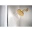 Verso 8 Function 7" Diameter Spray Head Rainshower, 2.5 GPM, 220R7BG (Brushed Gold)
