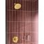 Verso 8 Function 7" Diameter Spray Head Rainshower, 2.5 GPM, 220R7BG (Brushed Gold)