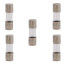8 Amp Fast-Acting, 2AG Type Glass Fuse, 125V (Pack of 5)