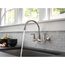 Corin 2 Handle Wall Mounted Kitchen Faucet (Stainless)
