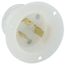 20A, 125V NEMA L5-20P, 2P, 3W, Flanged Inlet Locking Receptacle, Grounding (White)
