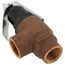 3/4" F82 Medium Capacity Pressure Relief Valve, Lead Free (30 PSI)