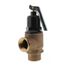 3/4" F82 High Capacity Pressure Relief Valve (125 PSI) - Lead Free