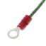 24" Green Ring Wire Assembly, 239-38951-52