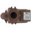 Stainless Steel 2400 Series Circulator Pump, 1/6 HP