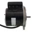 Motor (1/5 HP, 115 V)