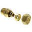 1/2" PEX-AL-PEX x 1/2" MNPT Transition w/ Fitting Assembly