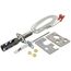 Igniter/flame Sensor 120v GS