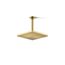 Honesty 8" Rain Showerhead, 1.75 GPM (Moderne Brass), K-26148-G-2MB
