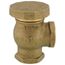 1" Angled Atmospheric Vacuum Breaker