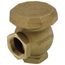 1-1/2" Angled Atmospheric Vacuum Breaker