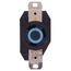 Industrial Grade Locking Receptacle, 30A, 2P, NEMA L6-30R - Black (250V)