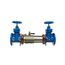 3" 757 Double Check Detector Assembly with NRS Shutoff Valves (757-NRS)