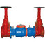 3" Wilkins 350 Double Check Valve Assembly
