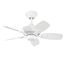 Canfield 30" Fan (White)