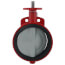 10"Wafer Butterfly Valve CI  EPDM Seat SS Stem