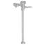 Royal 116-1.6 Exposed Manual Water Closet Flushometer (1.6 GPF/6.0 LPF)