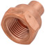1/4" x 3/8" Copper x Female Adapter