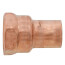 5/8" x 3/4" Copper x Female Adapter