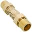 1" MNPT Dual Check Backflow Preventer (ASSE 1024 Compliant)