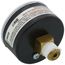2" Back Mount Pressure Indicating Gauge, 0-160 psi (1/4" NPT)