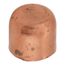 1/4" Copper Cap