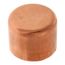 1-1/4" Copper Cap