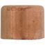 1-1/2" Copper Cap