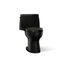 Santa Rosa 1 Piece Compact Elongated 1.6 Gpf Toilet w/ Revolution 360 Swirl Flushing (Black), K-30811-7