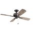 Eads Patio 52" Fan (Weathered Zinc)