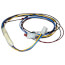 Wiring Harness, 310366-401