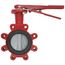 4" Butterfly Valve w/ Lever Operator